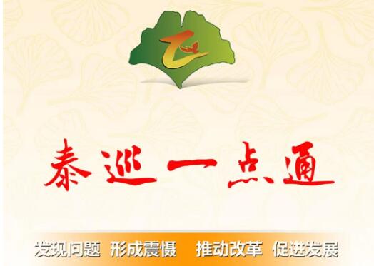 泰巡一点通专题